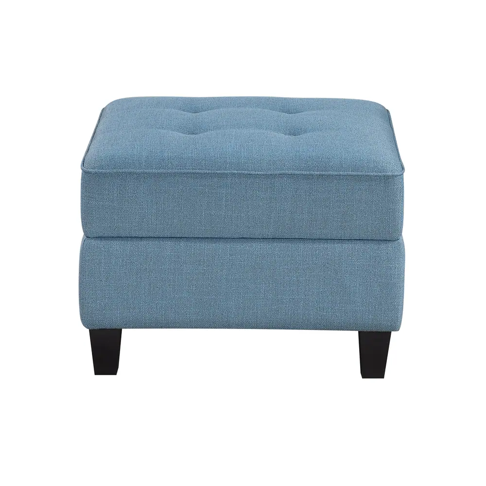 Garren Ottoman with Storage — product view